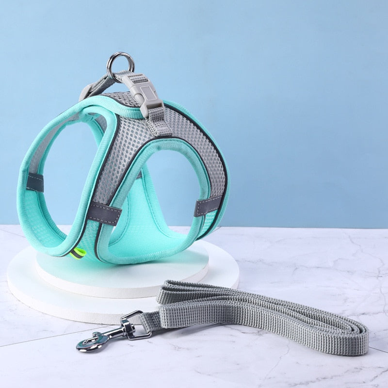 46259121783062|46259121815830|46259121848598|46259121881366|46259121914134