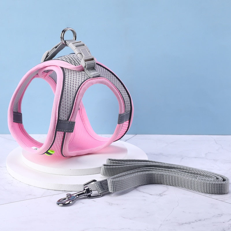 46259122110742|46259122143510|46259122176278|46259122209046|46259122241814