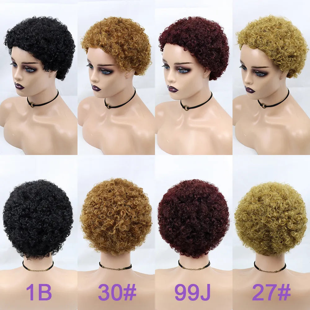 Kinky Curly Wigs Short Wigs for Black Women