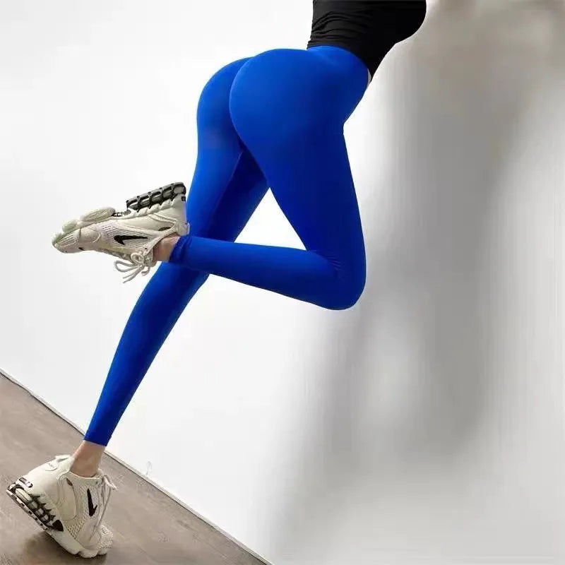 46304737100054|46304737132822|46304737165590|46304737198358