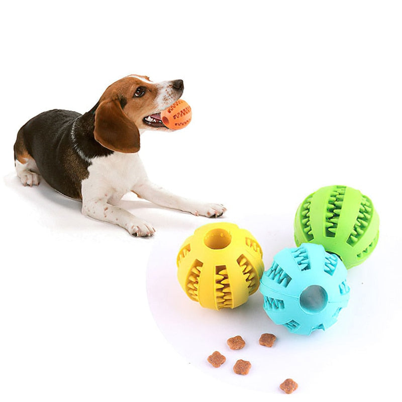 Dog Ball Toys for Small Dogs Interactive Elasticity Pupp