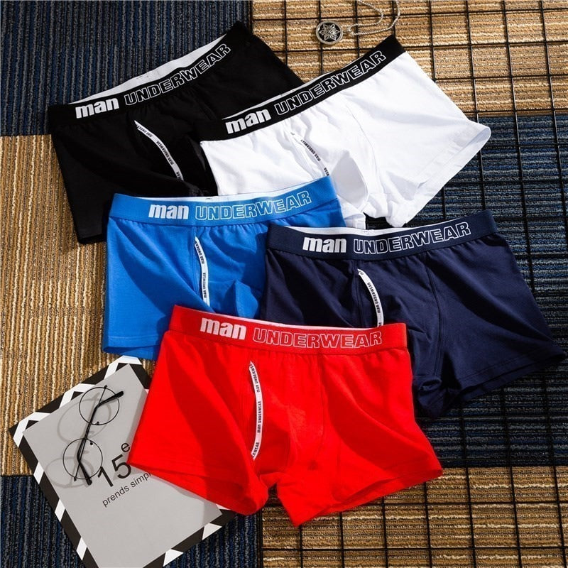Boxer Mens Underwear Men Boxer Shorts Comfortable Cotton Plus size 4XL