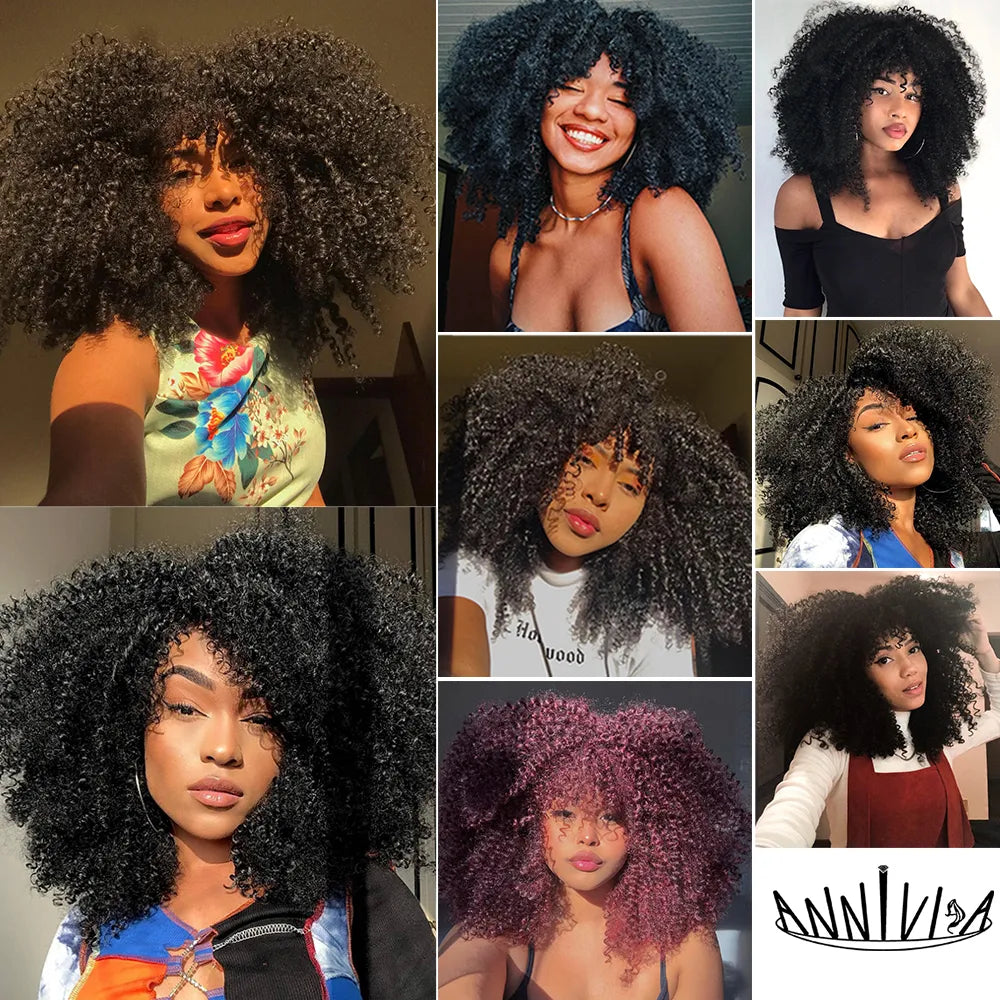 Curly Afro Wigs For Black Women