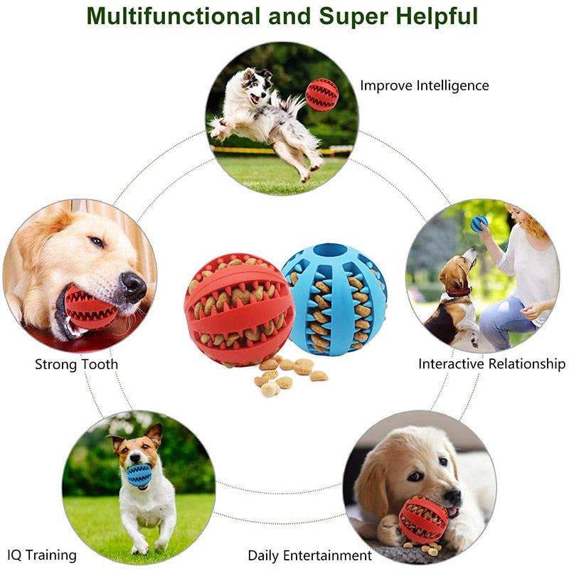 Dog Ball Toys for Small Dogs Interactive Elasticity Pupp