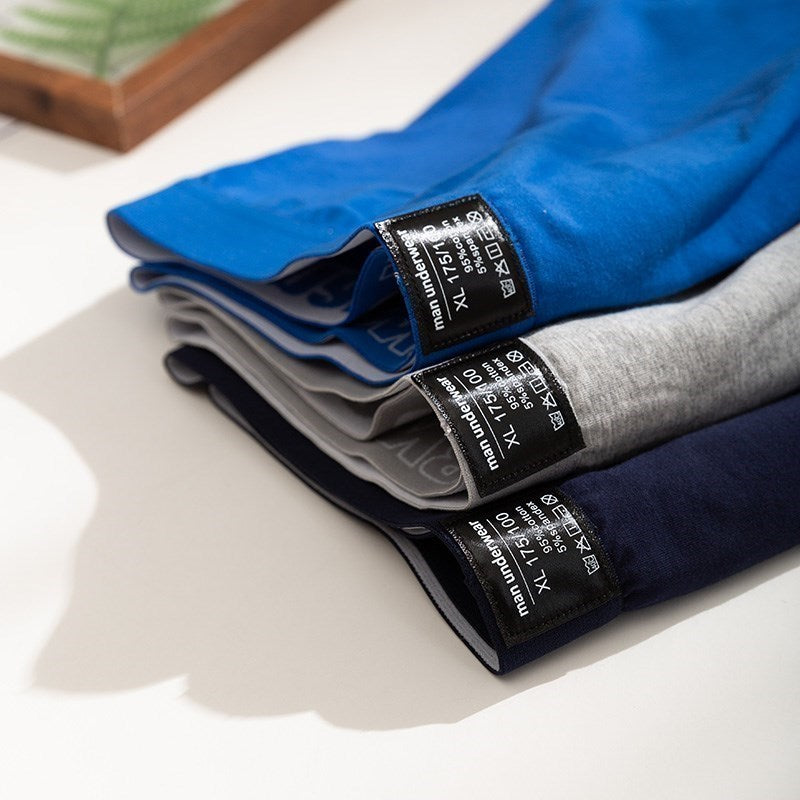 Boxer Mens Underwear Men Boxer Shorts Comfortable Cotton Plus size 4XL